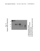 TREATMENT USING RELAXIN-FUSION PROTEINS WITH EXTENDED IN VIVO HALF-LIVES diagram and image