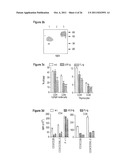 IMMUNOMODULATING TUMOR NECROSIS FACTOR RECEPTOR 25 (TNFR25) AGONISTS,     ANTAGONISTS AND IMMUNOTOXINS diagram and image