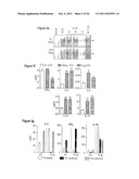 IMMUNOMODULATING TUMOR NECROSIS FACTOR RECEPTOR 25 (TNFR25) AGONISTS,     ANTAGONISTS AND IMMUNOTOXINS diagram and image