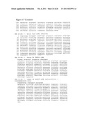 IMMUNOMODULATING TUMOR NECROSIS FACTOR RECEPTOR 25 (TNFR25) AGONISTS,     ANTAGONISTS AND IMMUNOTOXINS diagram and image