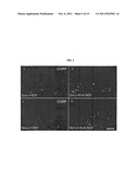 METHODS FOR TREATING BONE CANCER BY ADMINISTERING A NERVE GROWTH FACTOR     ANTAGONIST ANTIBODY diagram and image