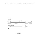 THERAPEUTIC USE OF SPECIFIC LIGAND IN MSRV ASSOCIATED DISEASES diagram and image