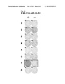 HIG2 AND URLC10 EPITOPE PEPTIDE AND VACCINES CONTAINING THE SAME diagram and image