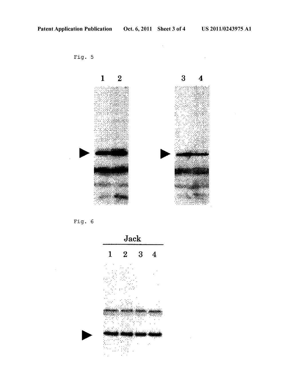 TRANSFORMED SOYBEAN PLANT WHICH ACCUMULATES VACCINE, AND USE THEREOF - diagram, schematic, and image 04