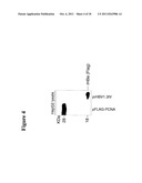 POLYNUCLEOTIDES ALLOWING THE EXPRESSION AND SECRETION OF RECOMBINANT     PSEUDO-VIRUS CONTAINING FOREIGN EPITOPES, THEIR PRODUCTION, AND USE diagram and image