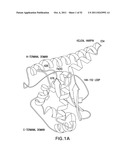 METHODS OF ENHANCING THE IMMUNOGENICITY OF MYCOBACTERIA AND COMPOSITIONS     FOR THE TREATMENT OF CANCER, TUBERCULOSIS, AND FIBROSING LUNG DISEASES diagram and image