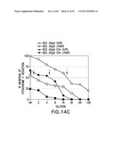 METHODS OF ENHANCING THE IMMUNOGENICITY OF MYCOBACTERIA AND COMPOSITIONS     FOR THE TREATMENT OF CANCER, TUBERCULOSIS, AND FIBROSING LUNG DISEASES diagram and image