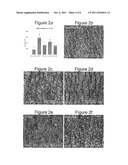 IMPLANTABLE MEDICAL ARTICLES HAVING LAMININ COATINGS AND METHODS OF USE diagram and image