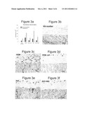 IMPLANTABLE MEDICAL ARTICLES HAVING LAMININ COATINGS AND METHODS OF USE diagram and image