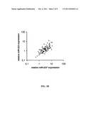 MICRORNA COMPOSITIONS AND METHODS FOR THE TREATMENT OF MYELOGENOUS     LEUKEMIA diagram and image