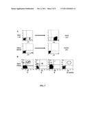 MICRORNA COMPOSITIONS AND METHODS FOR THE TREATMENT OF MYELOGENOUS     LEUKEMIA diagram and image