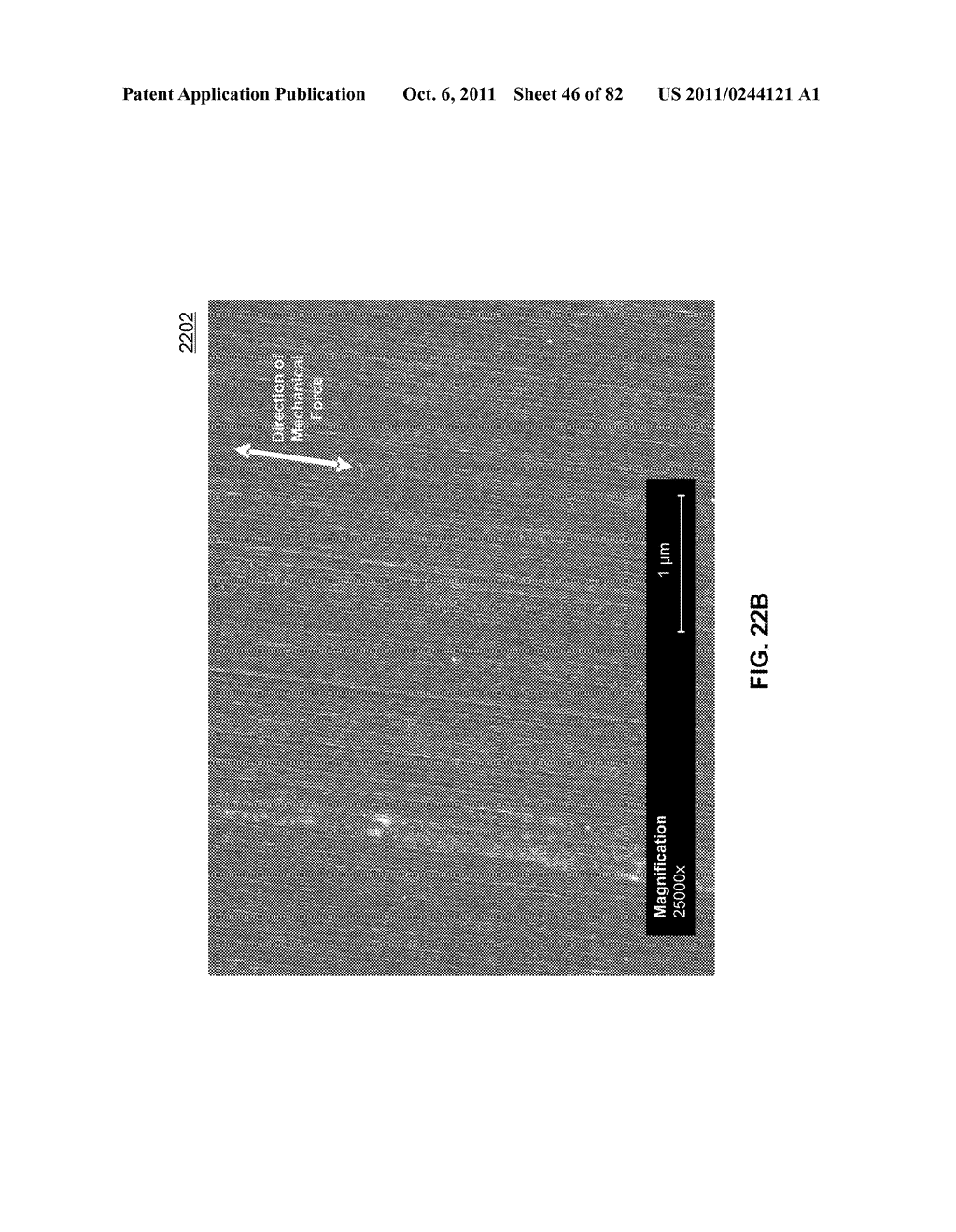 METHODS FOR ARRANGING NANOTUBE ELEMENTS WITHIN NANOTUBE FABRICS AND FILMS - diagram, schematic, and image 47