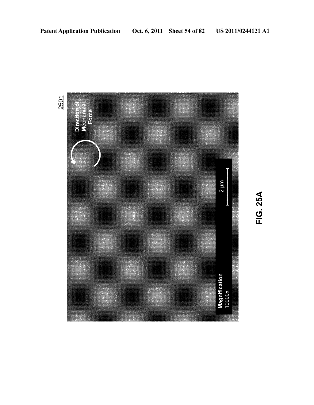 METHODS FOR ARRANGING NANOTUBE ELEMENTS WITHIN NANOTUBE FABRICS AND FILMS - diagram, schematic, and image 55