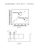 GROWTH PROCESS FOR GALLIUM NITRIDE POROUS NANORODS diagram and image