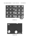 GROWTH PROCESS FOR GALLIUM NITRIDE POROUS NANORODS diagram and image