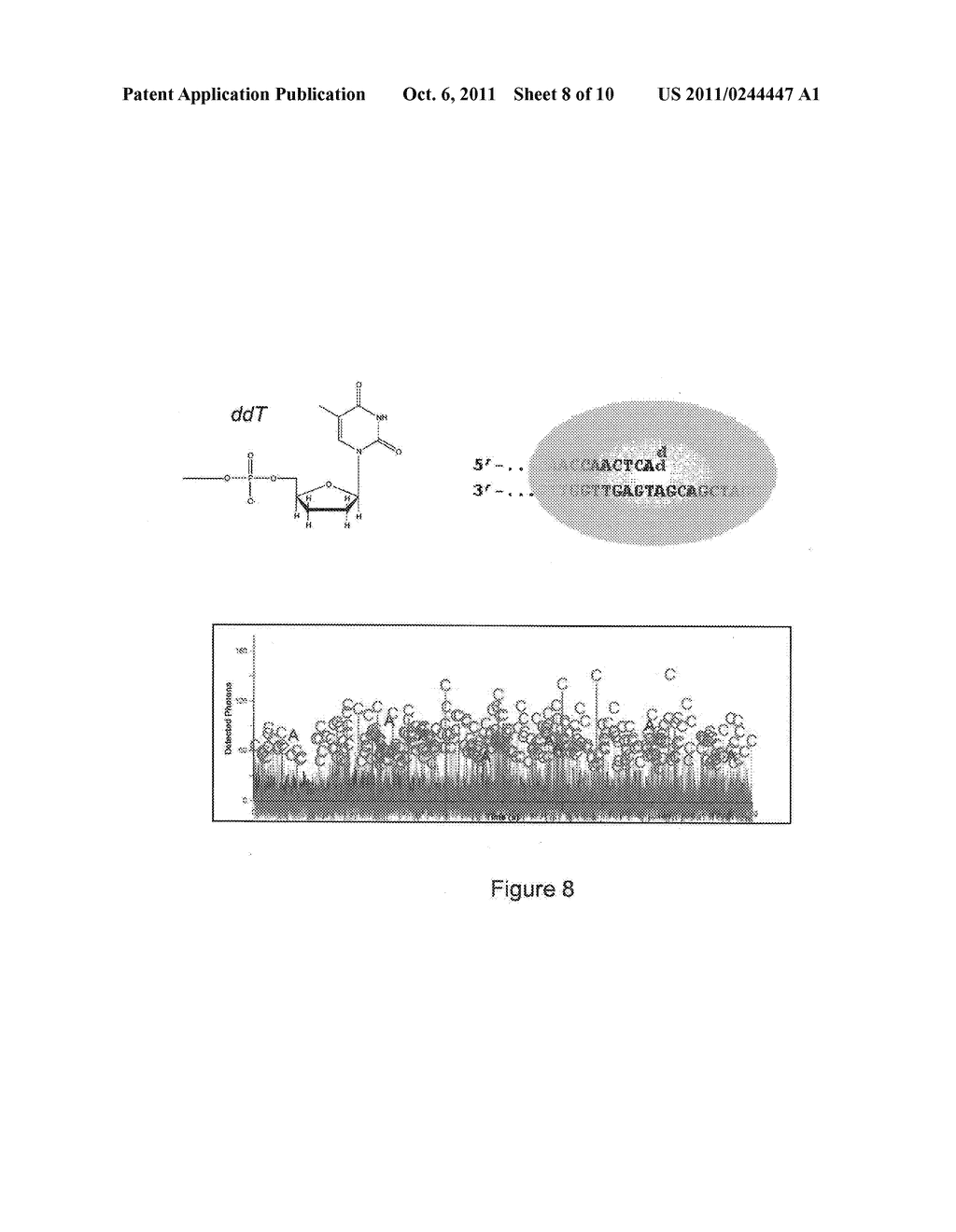 COGNATE SAMPLING KINETICS - diagram, schematic, and image 09