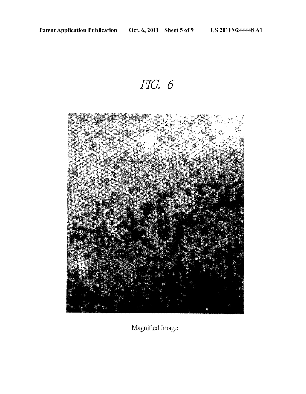 DNA DETECTING APPARATUS, DNA DETECTING DEVICE AND DNA DETECTING METHOD - diagram, schematic, and image 06