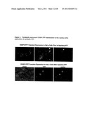 CELL-BASED  DETECTION OF APF THROUGH ITS INTERACTION WITH CKAP4 FOR     DIAGNOSIS OF INTERSTITIAL CYSTITIS diagram and image