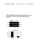 CELL-BASED  DETECTION OF APF THROUGH ITS INTERACTION WITH CKAP4 FOR     DIAGNOSIS OF INTERSTITIAL CYSTITIS diagram and image