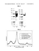 METHODS OF ENZYMATIC HYDROLYSIS diagram and image