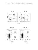 CANCER STEM CELLS diagram and image