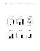 CANCER STEM CELLS diagram and image