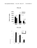 CANCER STEM CELLS diagram and image