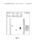 DETECTION OF MICROBIAL NUCLEIC ACIDS diagram and image