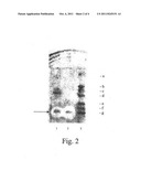 Bacteriocins and Novel Bacterial Strains diagram and image