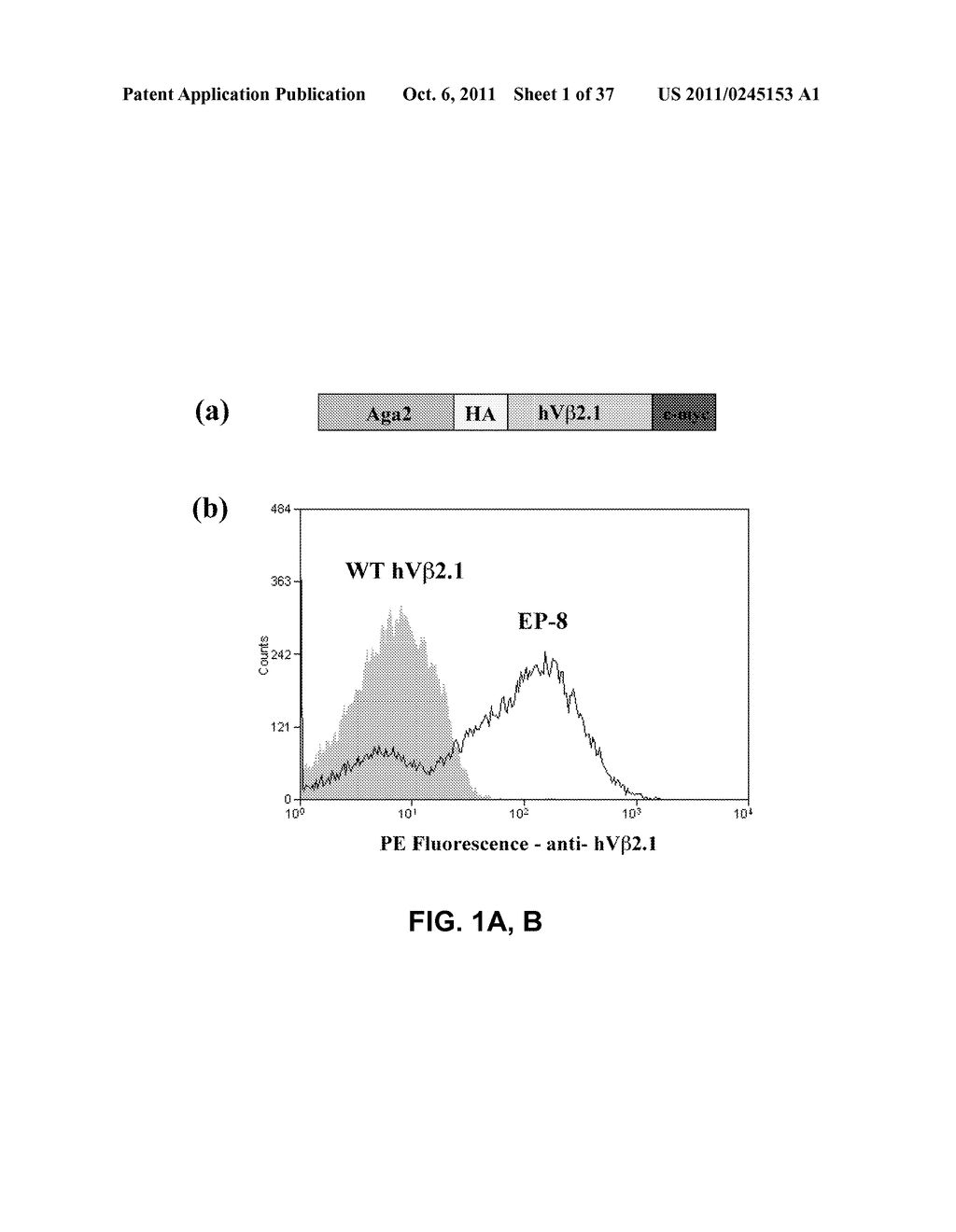 Neutralizing Agents for Bacterial Toxins - diagram, schematic, and image 02