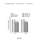 UNACYLATED GHRELIN FRAGMENTS AS THERAPEUTIC AGENT IN THE TREATMENT OF     OBESITY diagram and image