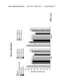 UNACYLATED GHRELIN FRAGMENTS AS THERAPEUTIC AGENT IN THE TREATMENT OF     OBESITY diagram and image