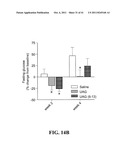 UNACYLATED GHRELIN FRAGMENTS AS THERAPEUTIC AGENT IN THE TREATMENT OF     OBESITY diagram and image