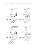 UNACYLATED GHRELIN FRAGMENTS AS THERAPEUTIC AGENT IN THE TREATMENT OF     OBESITY diagram and image