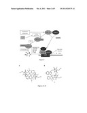 INHIBITING INTERACTION BETWEEN THE HIF-1ALPHA AND p300/CBP WITH HYDROGEN     BOND SURROGATE-BASED diagram and image