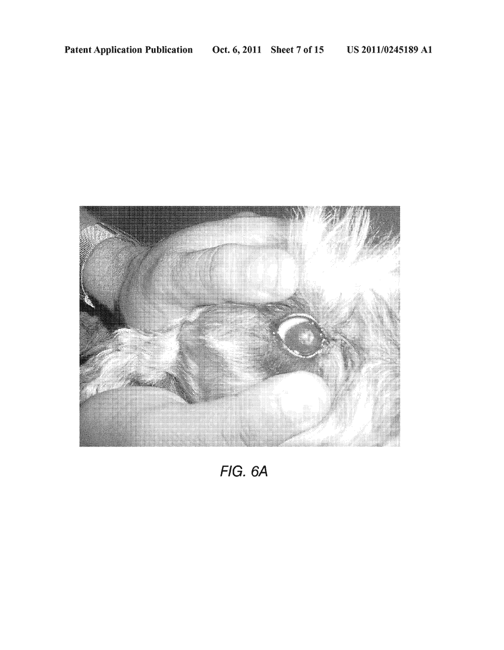 COMPOSITION AND METHOD FOR THE TREATMENT OF EYE DISEASE - diagram, schematic, and image 08