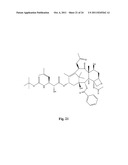 COMPOUNDS FOR TREATING PROLIFERATIVE DISORDERS diagram and image