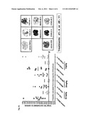 NOVEL SUBSTITUTED IMIDAZOQUINOLINES diagram and image