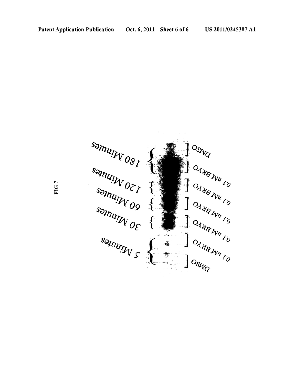 Methods for Alzheimer's Disease Treatment and Cognitive Enhancement - diagram, schematic, and image 07