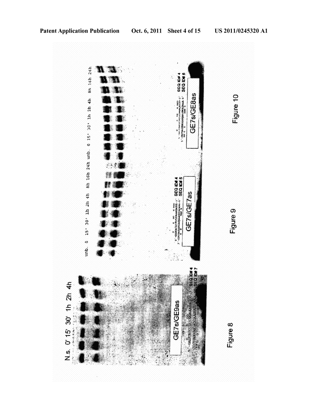 NUCLEASE RESISTANT DOUBLE-STRANDED RIBONUCLEIC ACID - diagram, schematic, and image 05