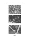 Process for the production of a functionalised carbon nanomaterial diagram and image