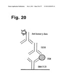 IMMUNOGLOBULINS diagram and image