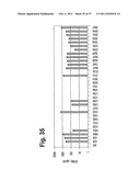 IMMUNOGLOBULINS diagram and image