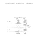 METHOD AND SYSTEM FOR IMPROVING PHYSIOLOGIC STATUS AND HEALTH VIA     ASSESSMENT OF THE DYNAMIC RESPIRATORY ARTERIAL PRESSURE WAVE USING     PLETHYSMOGRAPHIC TECHNIQUE diagram and image