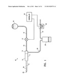 BIOPSY PROBE HAVING A TISSUE SPECIMEN COLLECTOR diagram and image