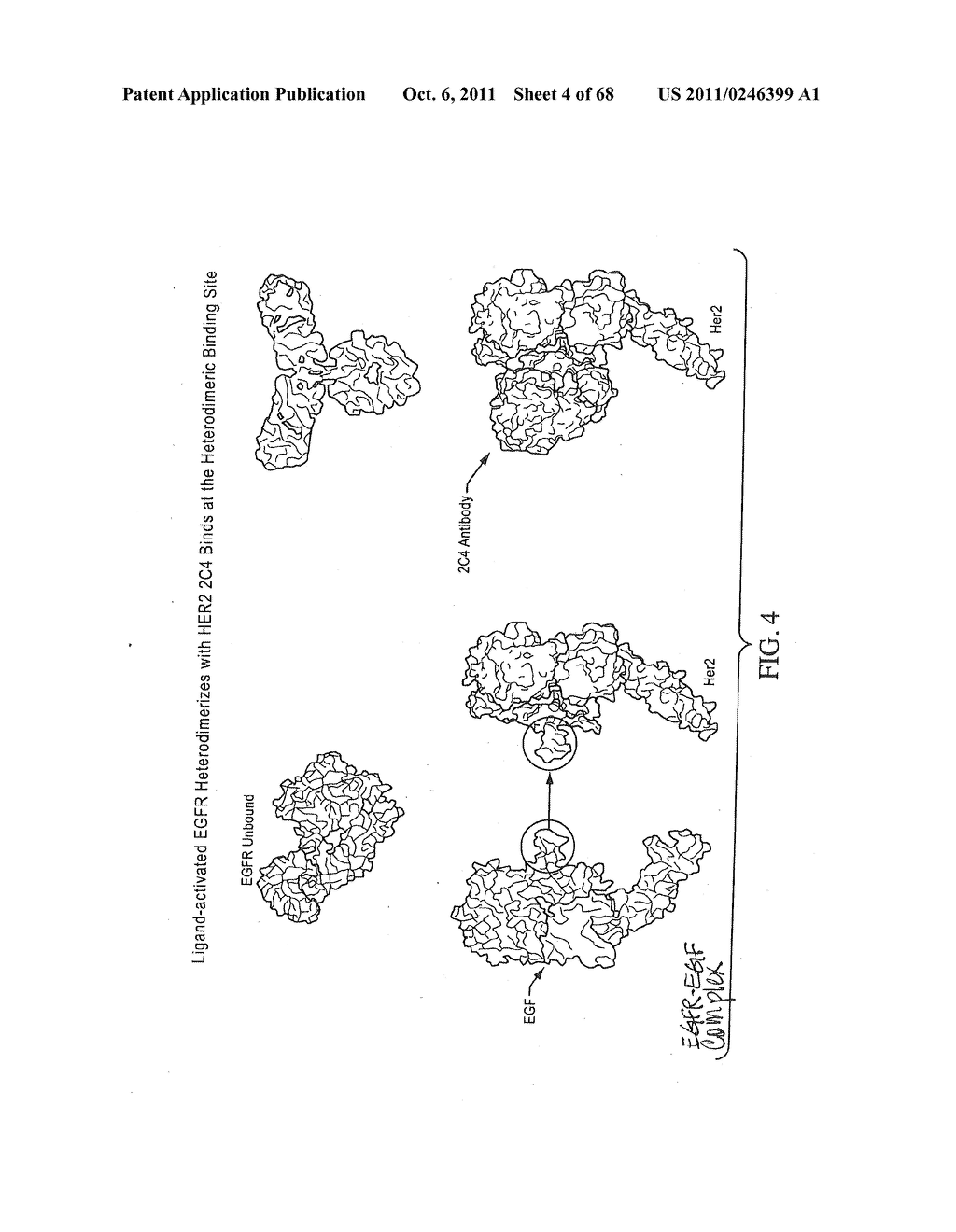 PREDICTING RESPONSE TO A HER INHIBITOR - diagram, schematic, and image 05