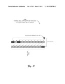 SYSTEMS AND METHODS IMPROVING CRYPTOSYSTEMS WITH BIOMETRICS diagram and image