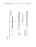 Organisms homozygous for targeted modification diagram and image