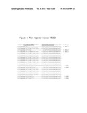 Organisms homozygous for targeted modification diagram and image