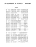 Plant Root-Specific Nematode Resistance diagram and image